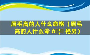 眉毛高的人什么命格（眉毛高的人什么命 🦈 格男）